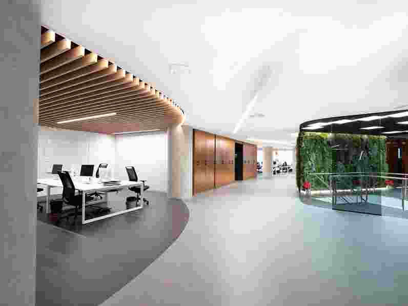 Work area in open-plan office with white, suspended acoustic ceiling, wooden slats and wall with plants in the background