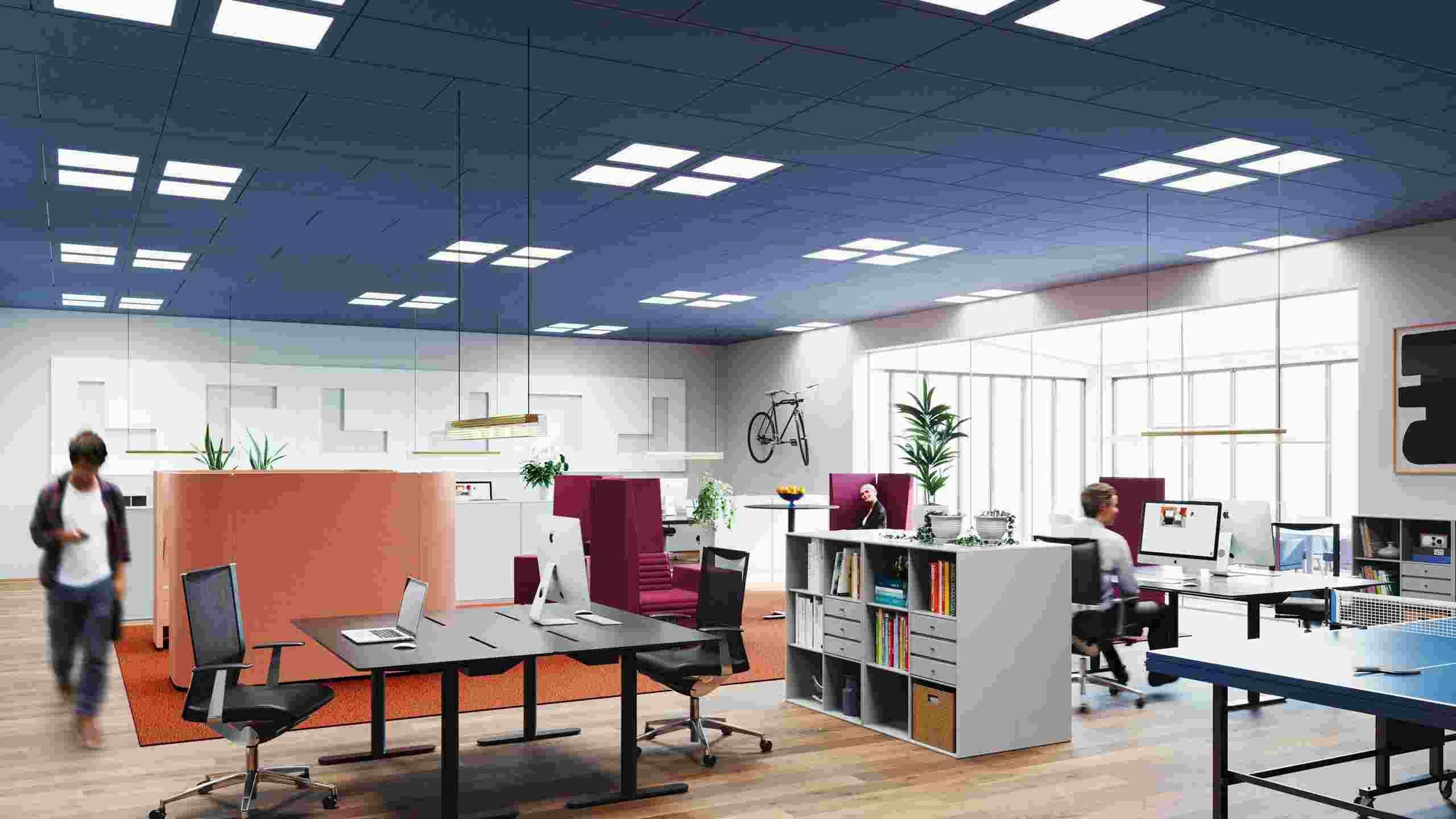 Open plan office with blue suspended acoustic ceiling