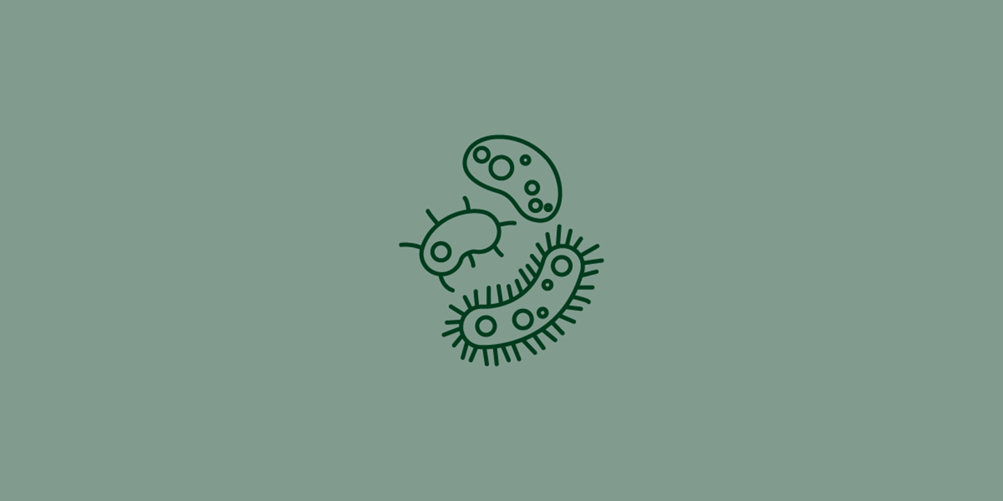 Mould and bacteria resistance icon