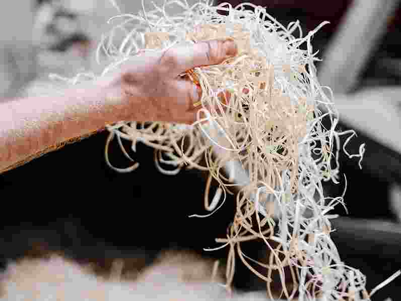 Close-up of a hand holding a pile of shredded wood in a factory